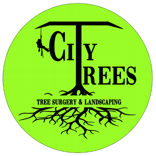 Looking for residential or commercial landscaping or tree surgery in Bromley? Get in touch via our booking form or at 02082 444651. 