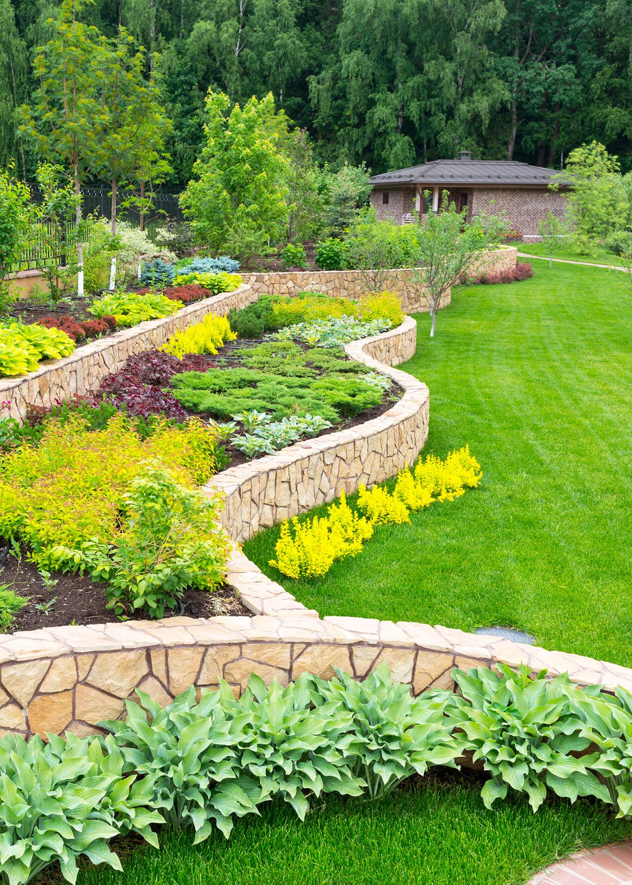 Landscaping in Bromley | CityTreesUK gallery image 1