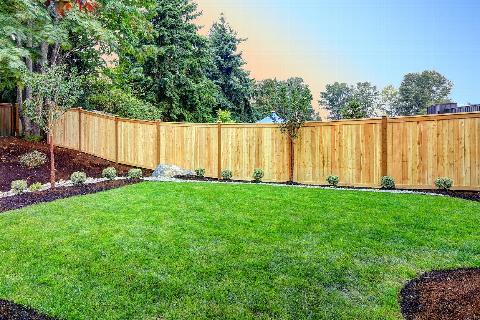 Wooden garden fence