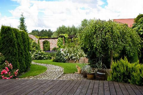 Residential backyard in Bromley